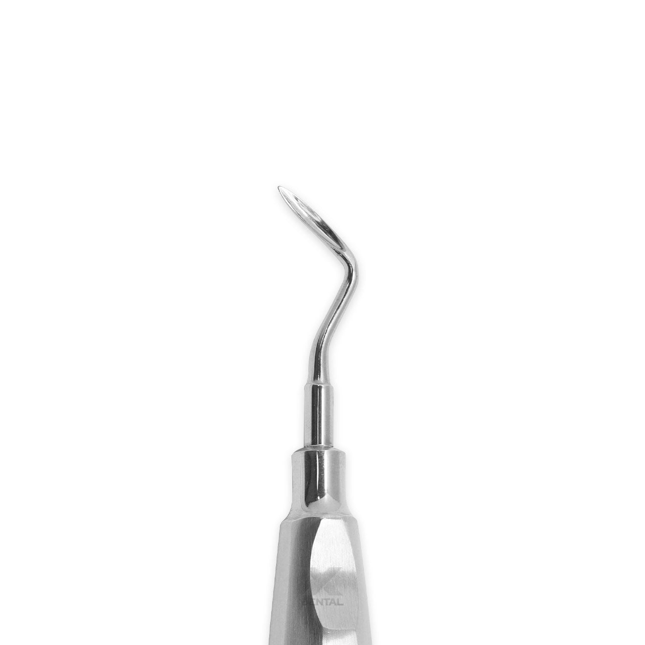 Surgident Root Elevator ELE-324
