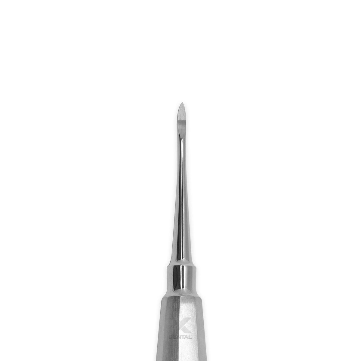 Surgident Root Picker RP01