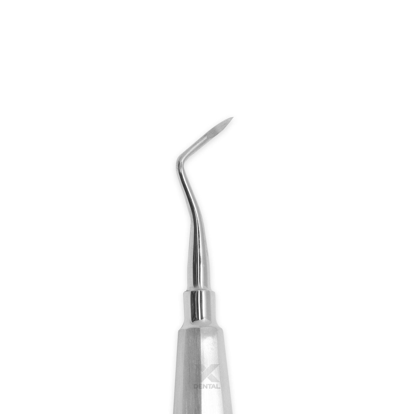 Surgident Root Picker RP02