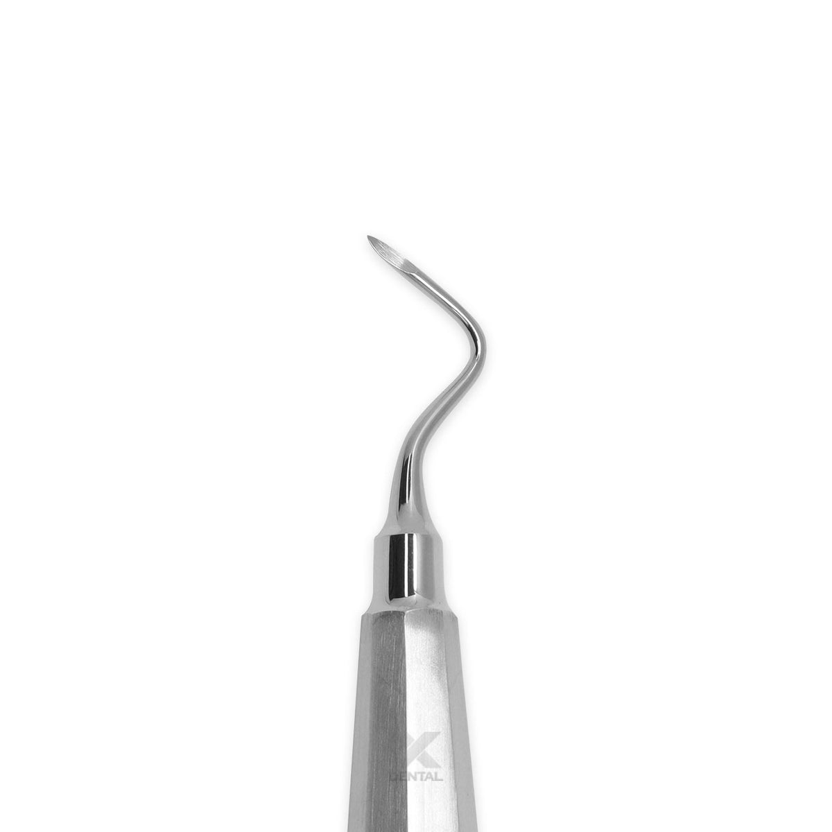 Surgident Root Picker RP03