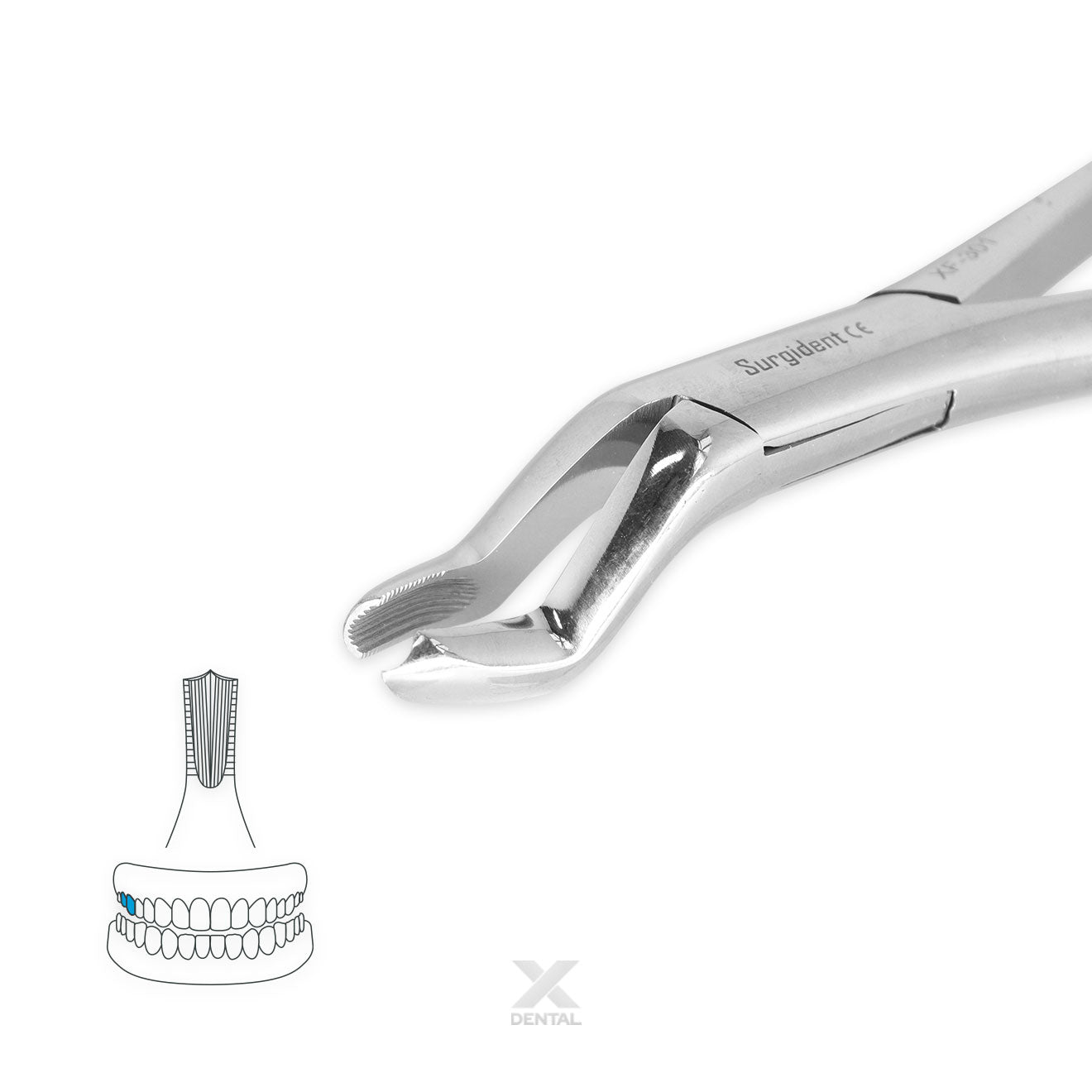 Surgident Forceps 53R : Right Molars