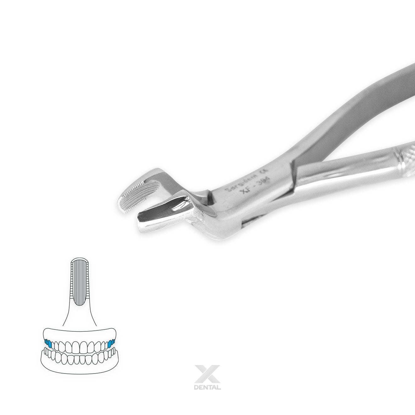 Surgident Forceps 10S : Molars and Third Molars