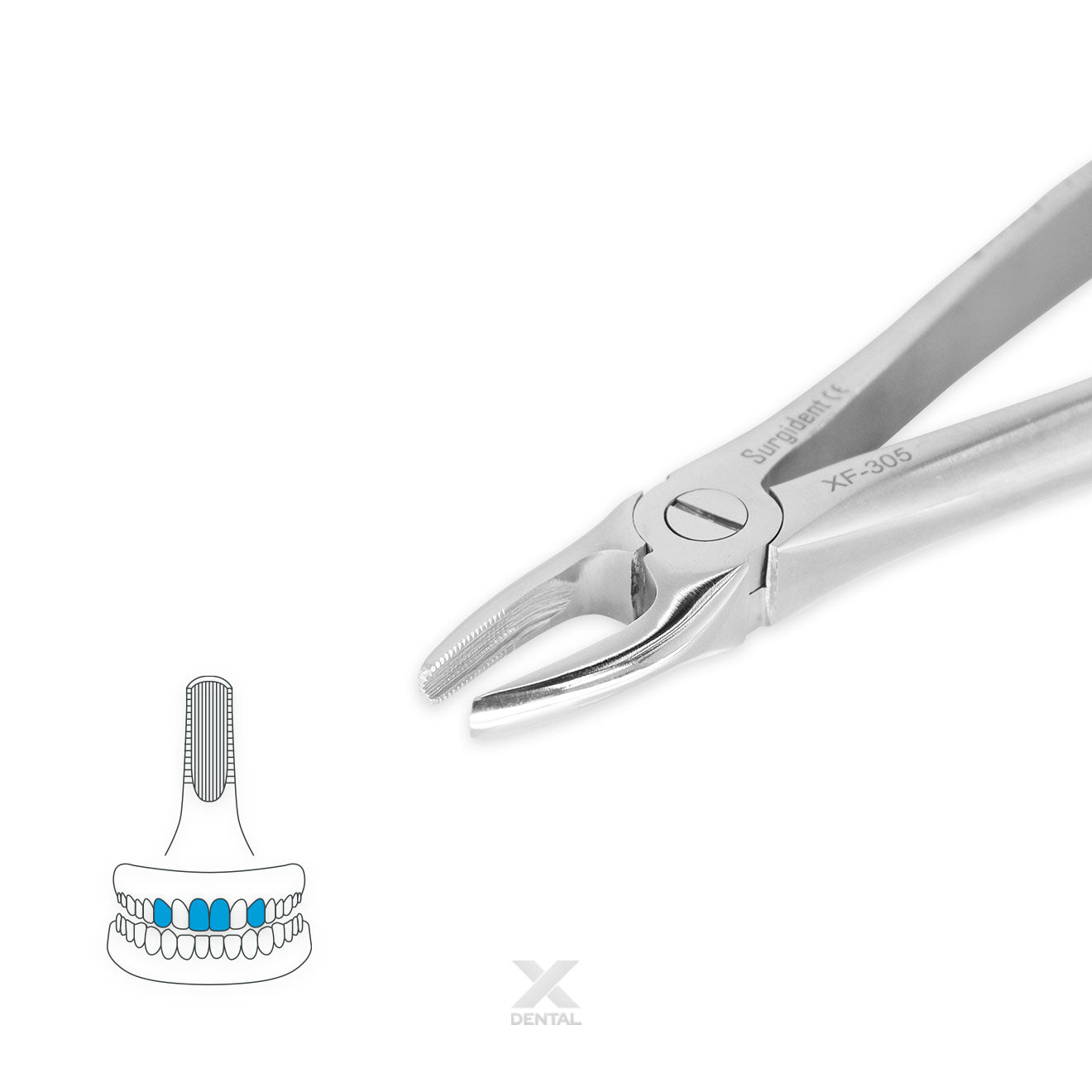 Surgident Forceps 1 : Incisors and Biscuspids