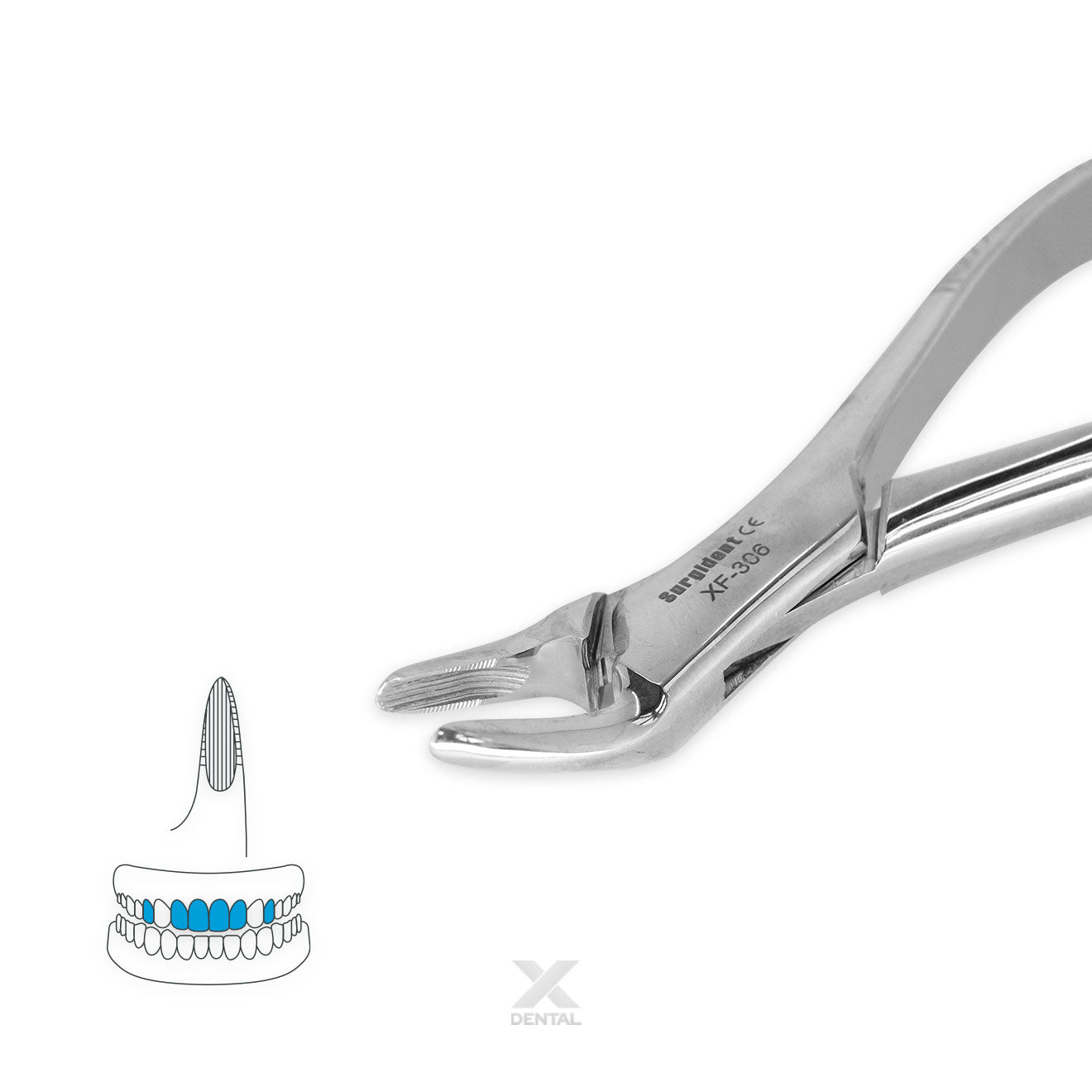 Surgident Forceps 150 : Biscuspids Incisor and Roots