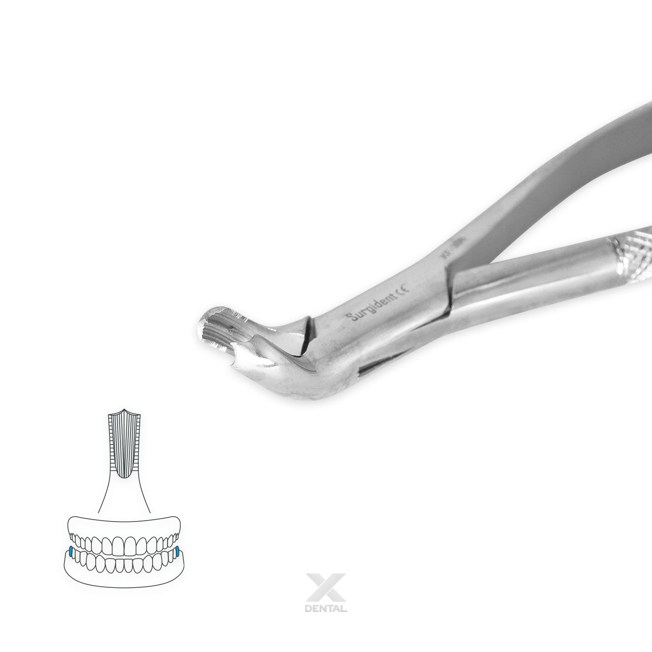 Surgident Forceps 17 : Third Molars Lower