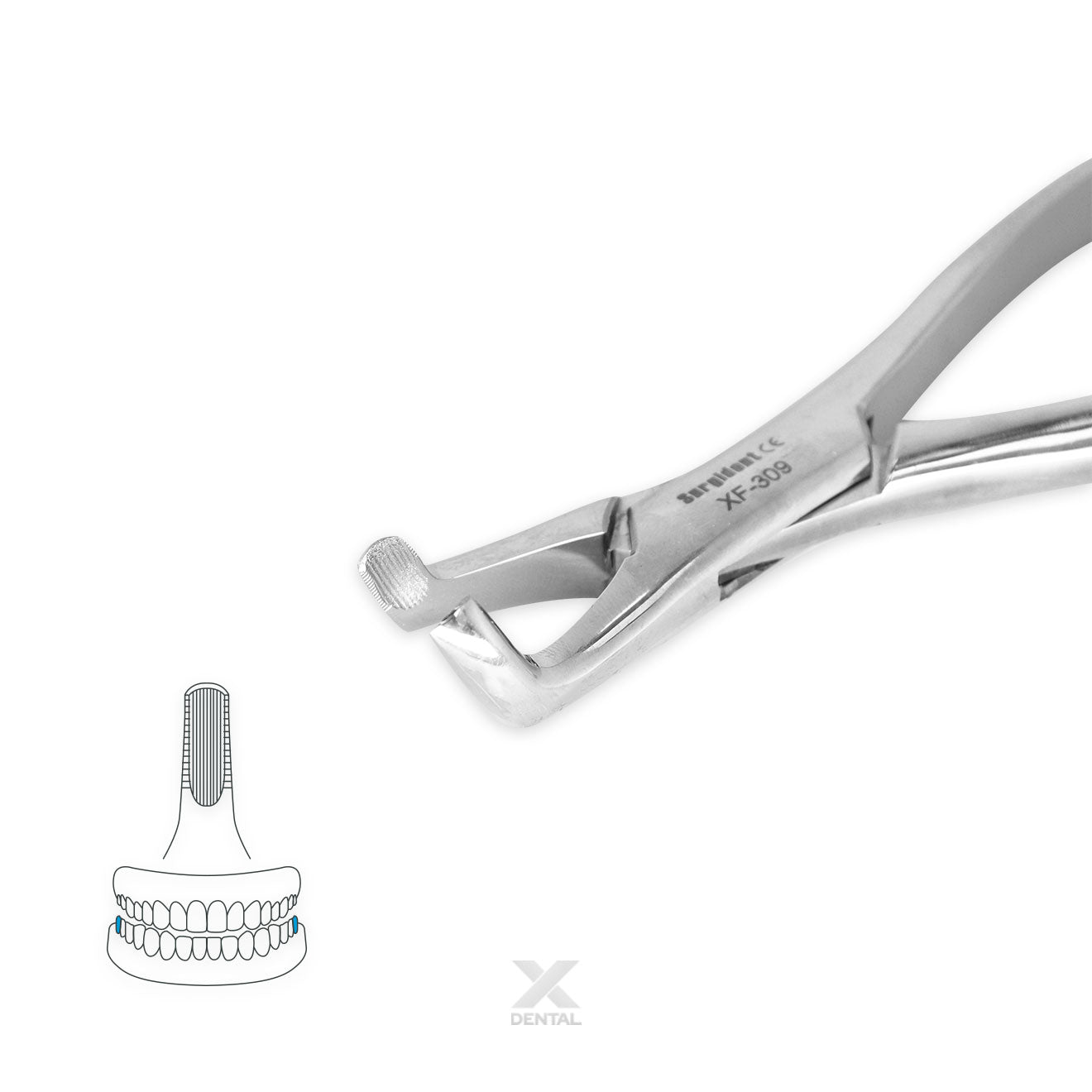 Surgident Forceps 222 : Third Molars Lower