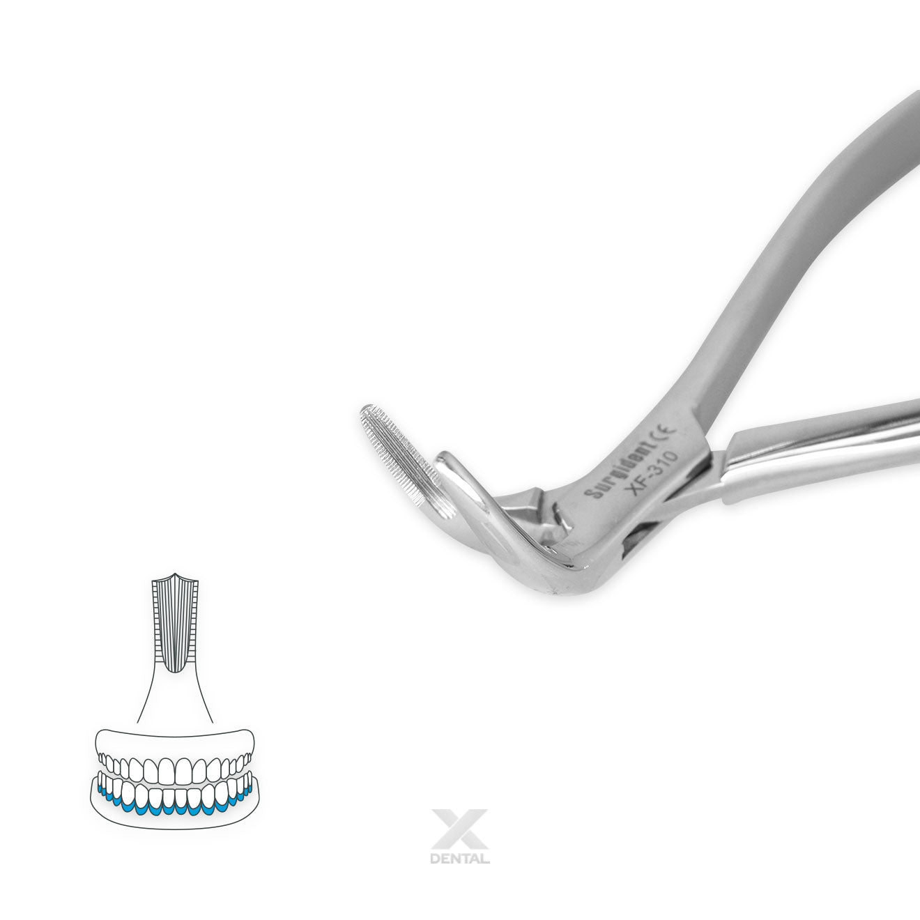 Surgident Root Forceps 301 : Lower Root Fragments