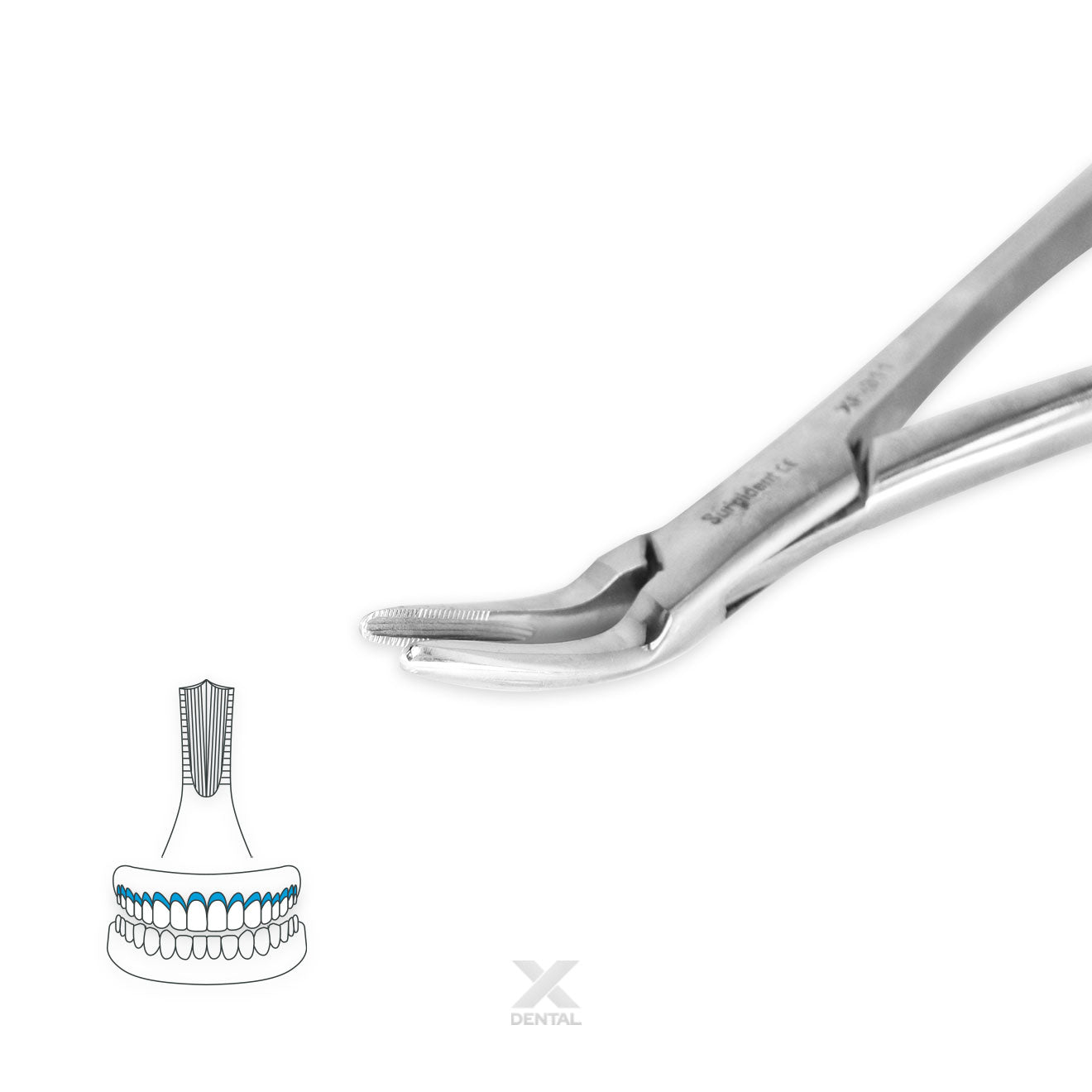 Surgident Root Forceps 300 : Upper Root Fragments
