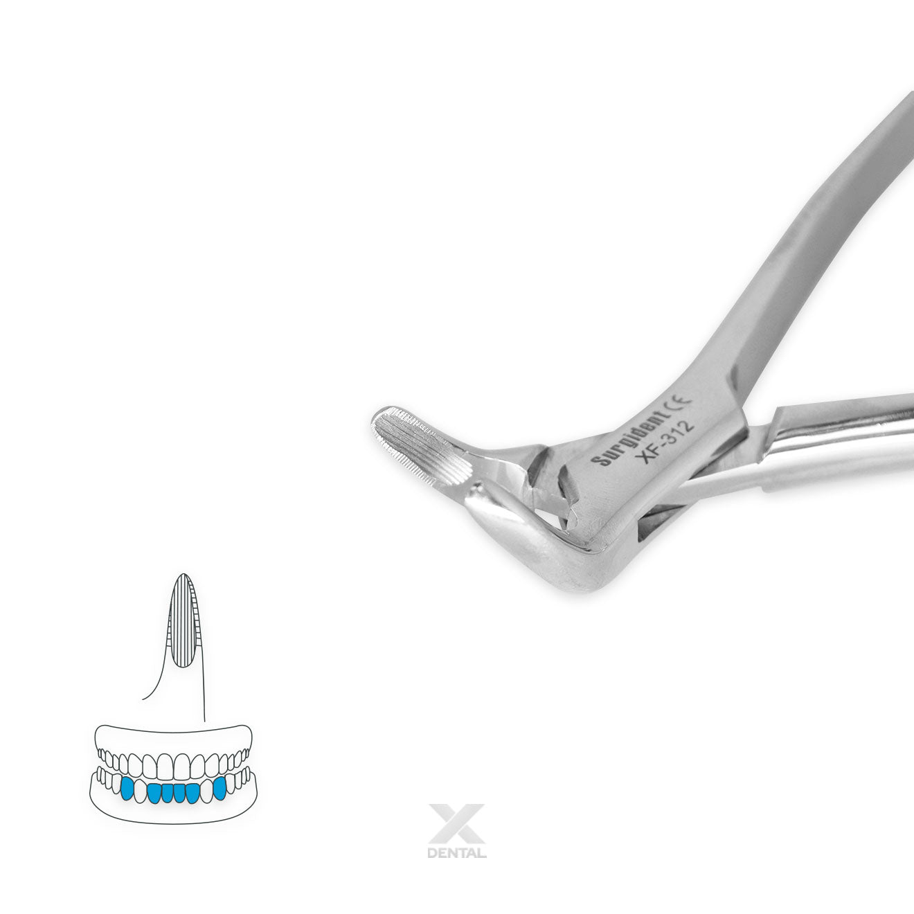 Surgident Forceps 151 : Biscuspids Incisor and Roots