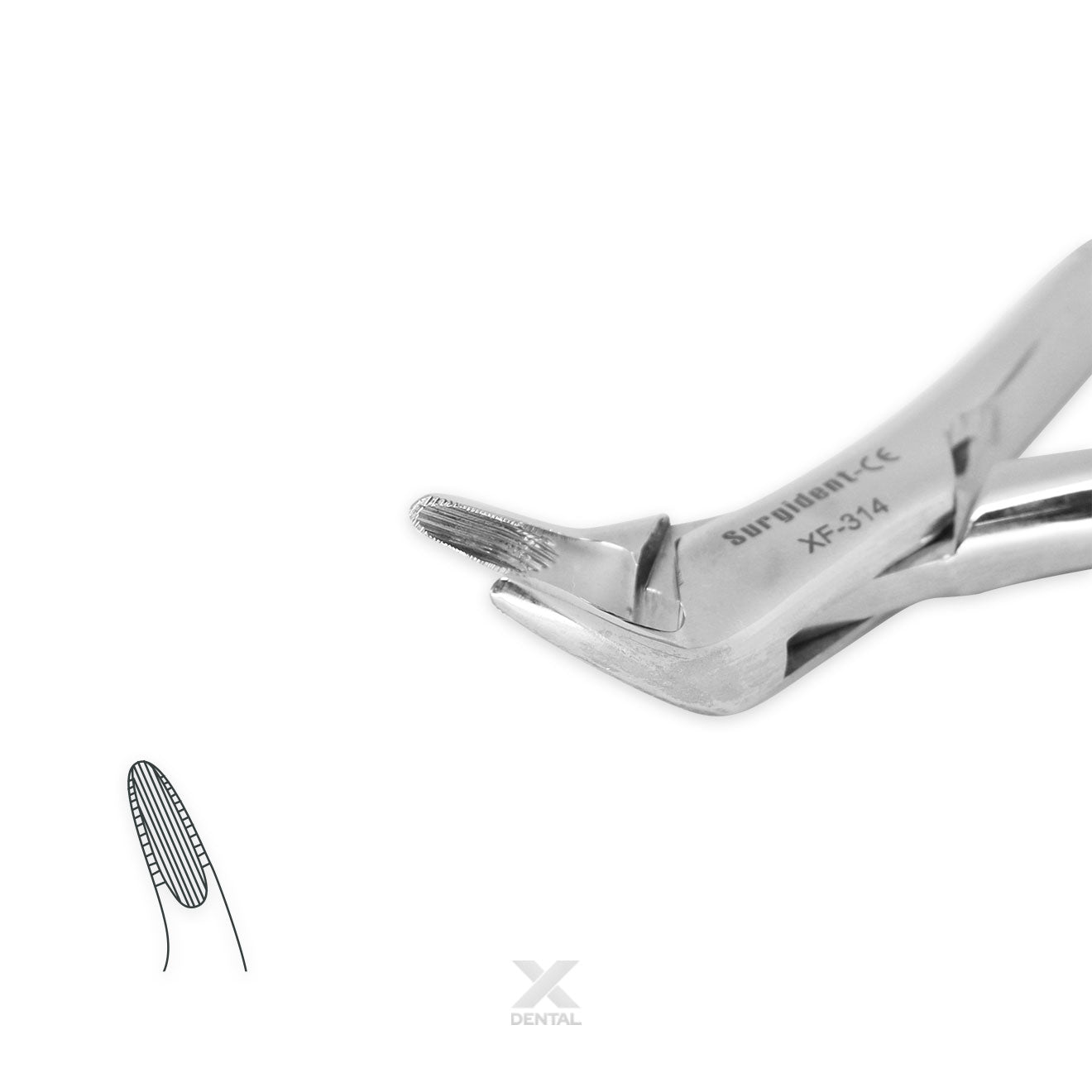 Surgident Forceps for Children 151S : Lower Forcep