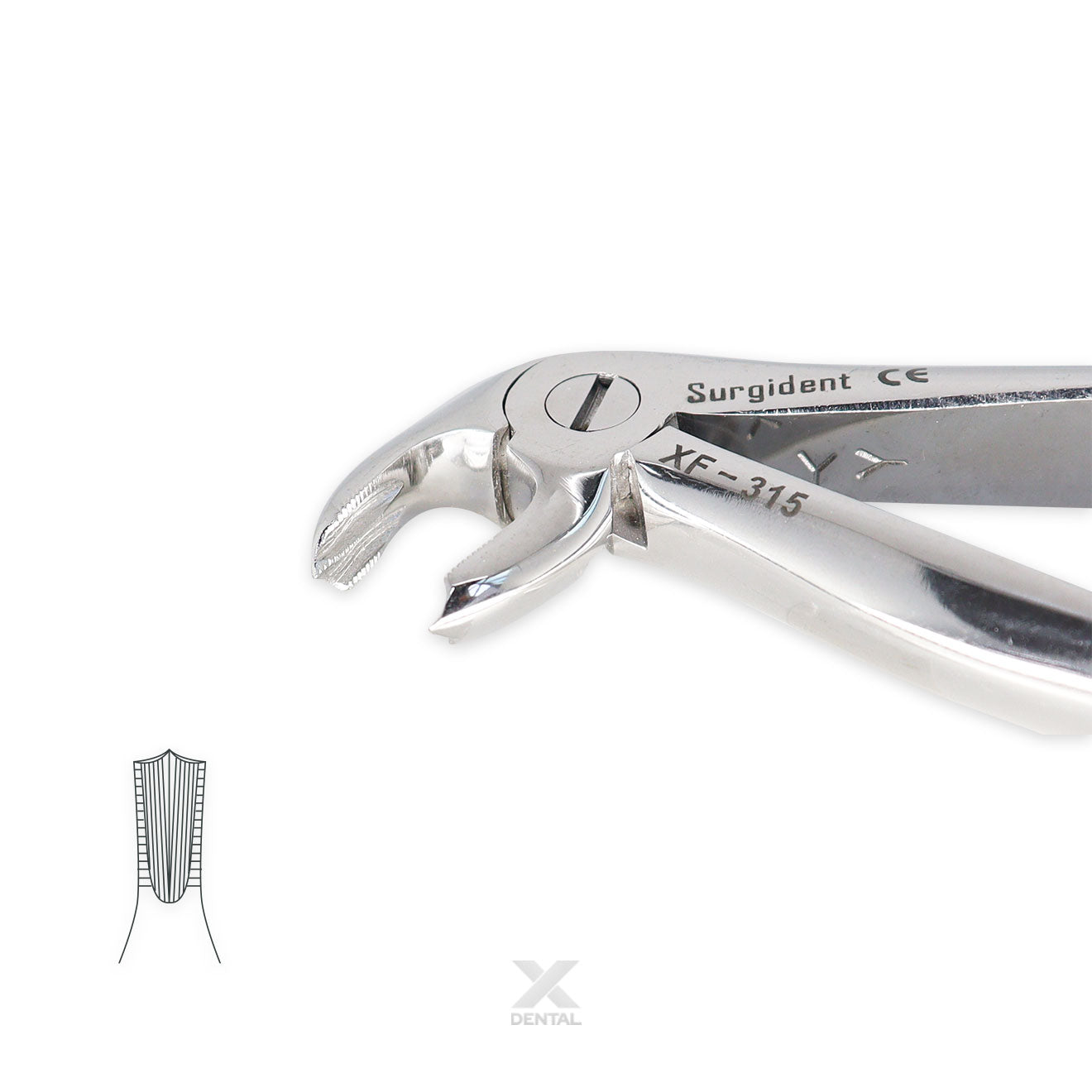 Surgident Forceps for Children 6 : Lower Molars Forcep