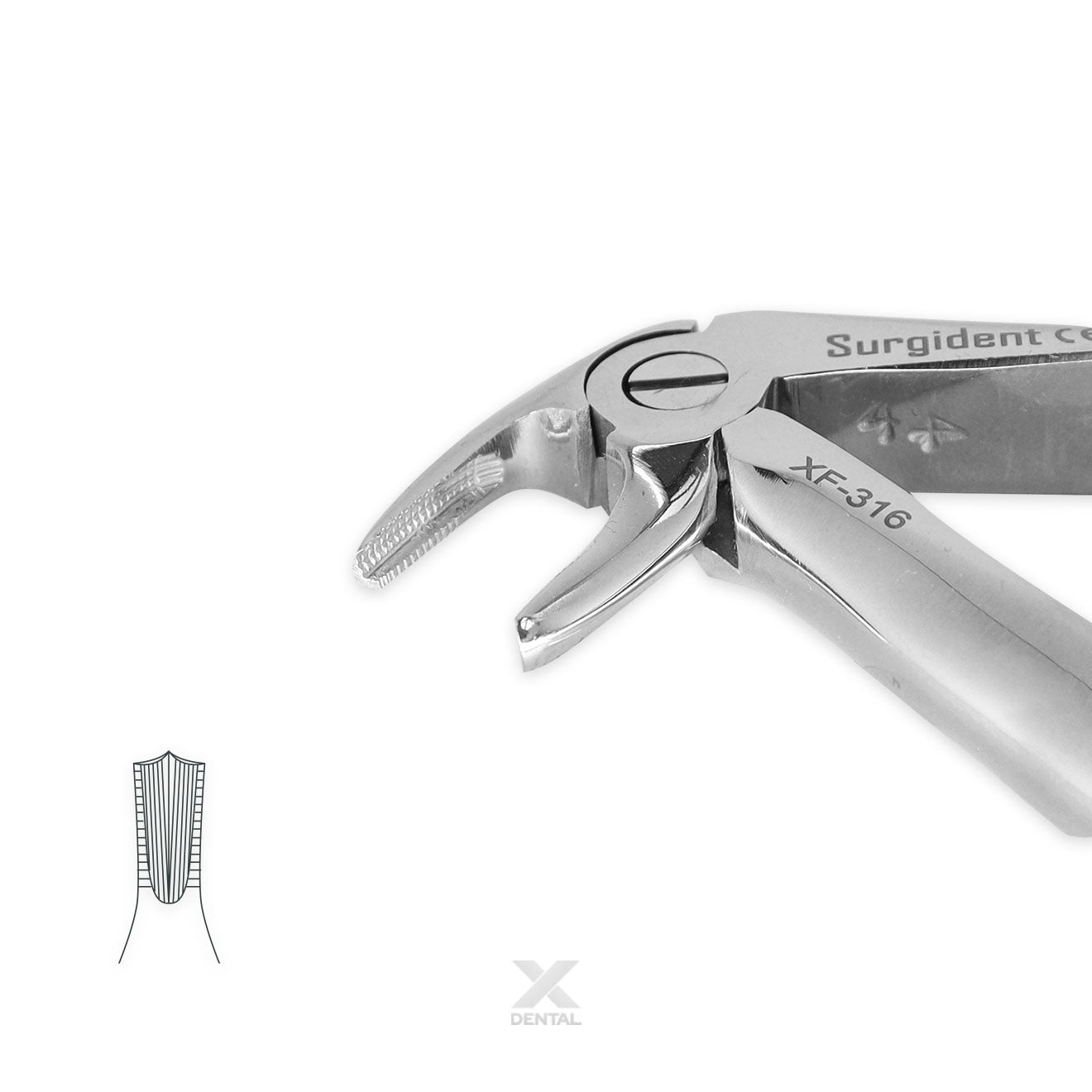 Surgident Forceps for Children 5 : Lower Incisors Forcep