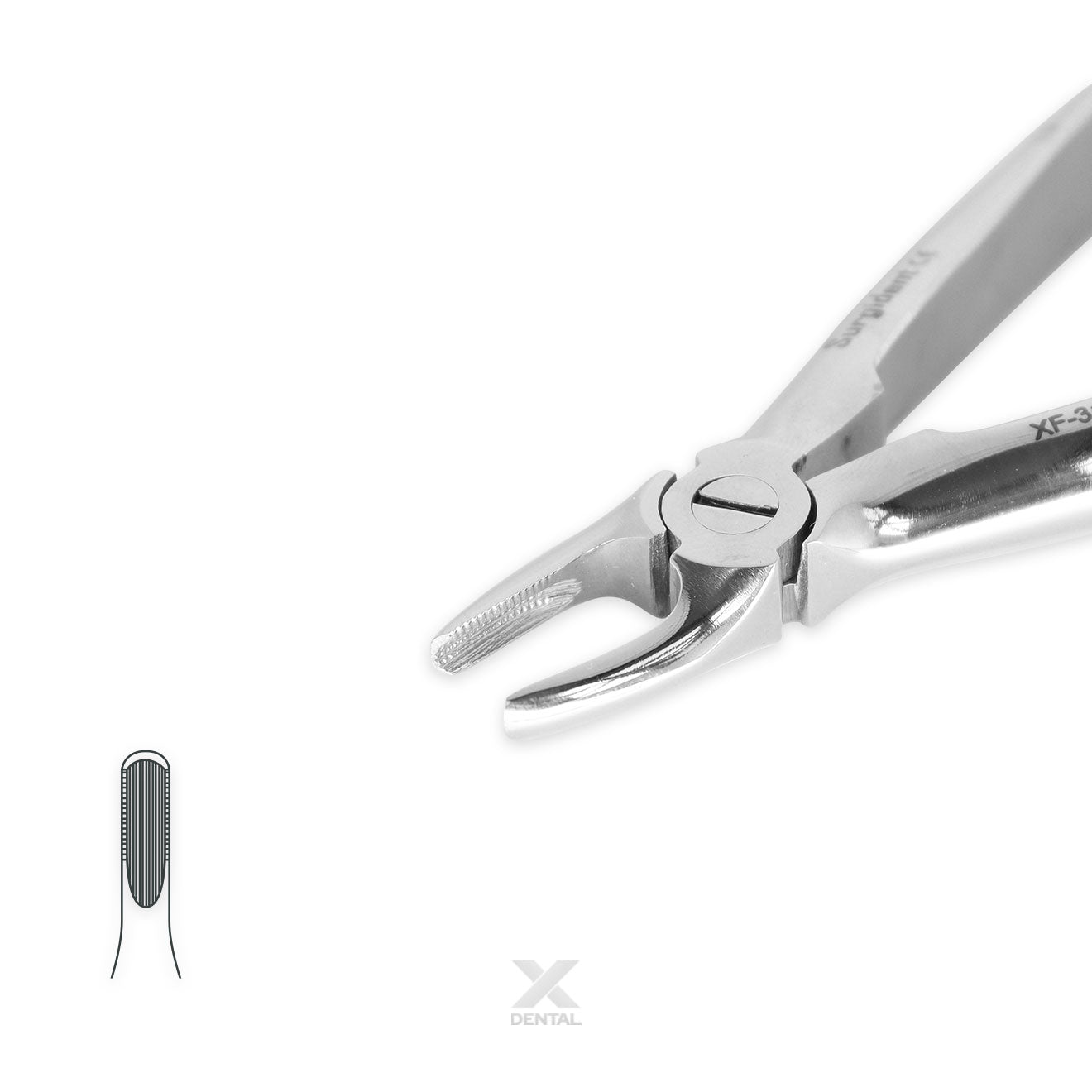 Surgident Forceps for Children 1 : Upper Incisors Forcep