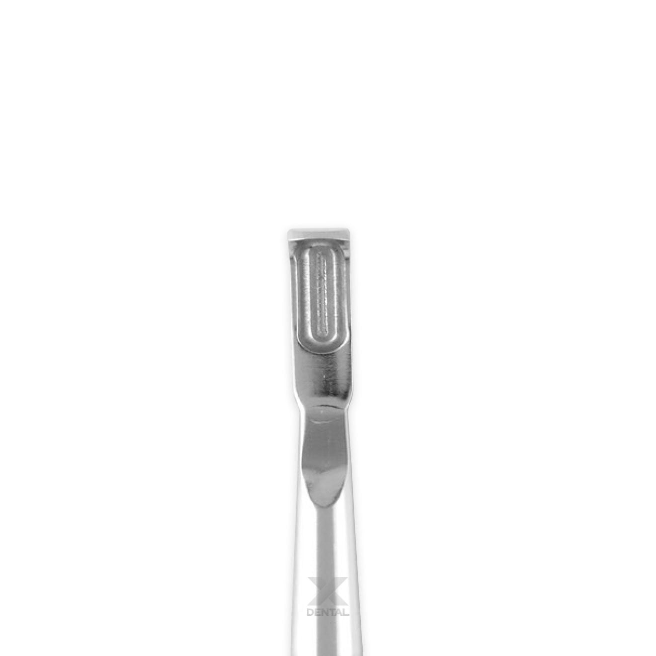 Bone Scraper